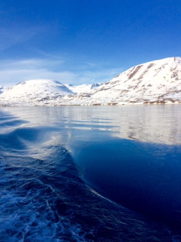 The Arctic waters. Photo courtesy of Ms. Norma Cox.