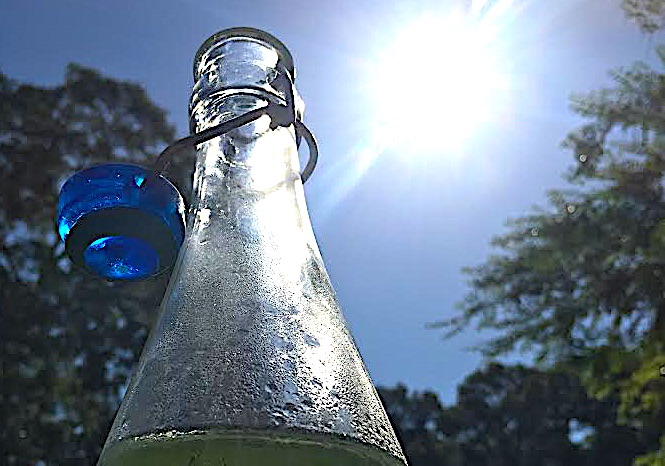 Keep hydrated during the summer swelter