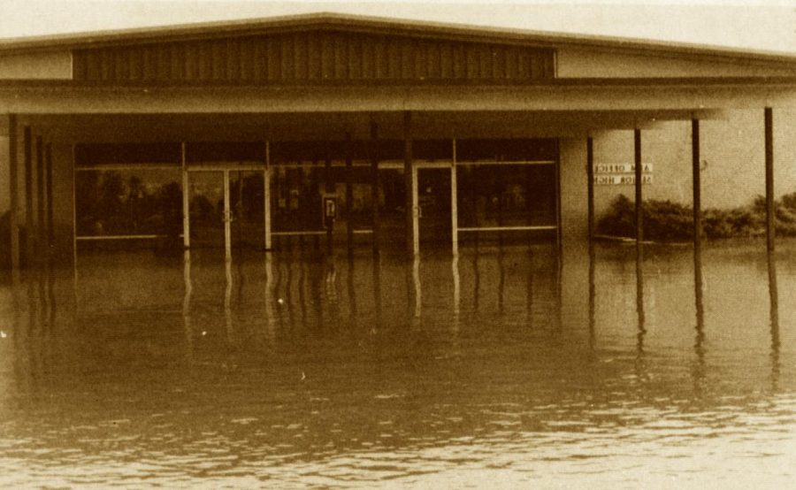 FROM THE ARCHIVES (Précis, Vol. IX - 1979): "Flood '79"