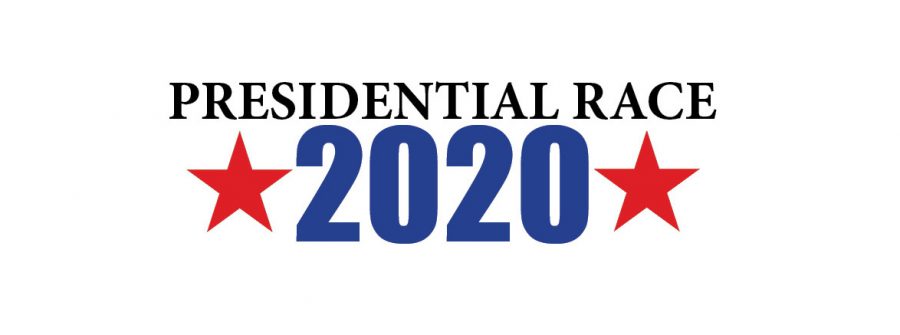 Your Guide to the 2020 Candidates