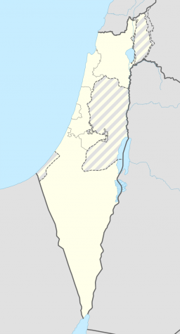 OPINION: The dangers of the rise of Antisemitism and BDS