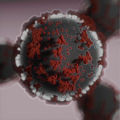 The infamous coronavirus as rendered by graphics editor Alex Roberson