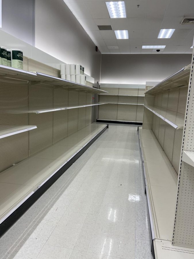 Apocalyptically barren shelves at local stores greet shoppers searching for sanitation supplies. 