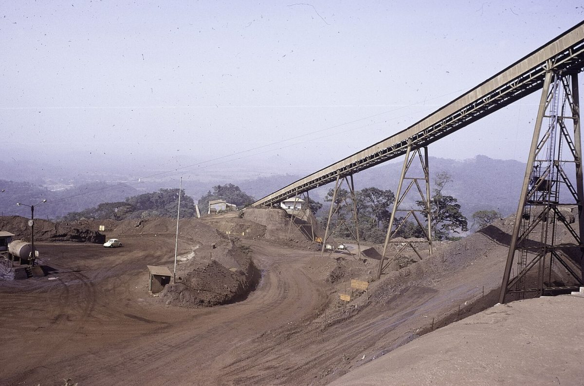 Photo from Fred van der Kraaij collection via Wikimedia Commons 